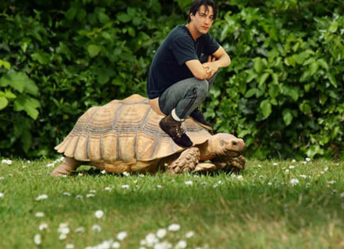 Foto de Keanu Reeves inspira divertidos memes (+FOTOS) | Fusión 90.1 FM ...