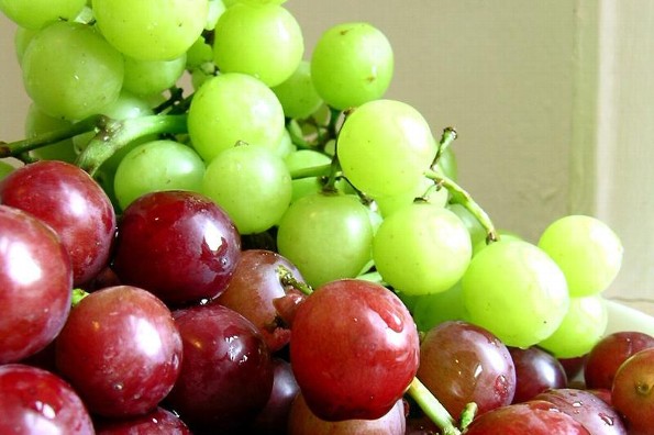 Comer uvas limpia y purifica la sangre