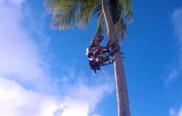 Lo mandaron a cortar cocos y mira lo que inventó (VIDEO)