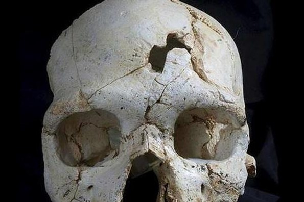 Confirman que el primer asesinato de la historia ocurrió hace 430 mil años