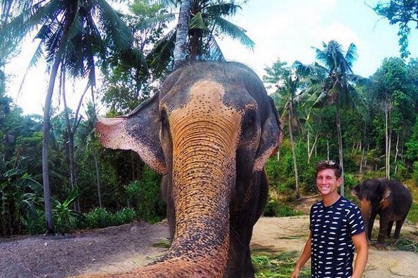 "Elphie" La primer selfie tomada por un elefante 