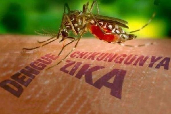 No se descarta que virus "Zika" llegue a México: Médico Internista
