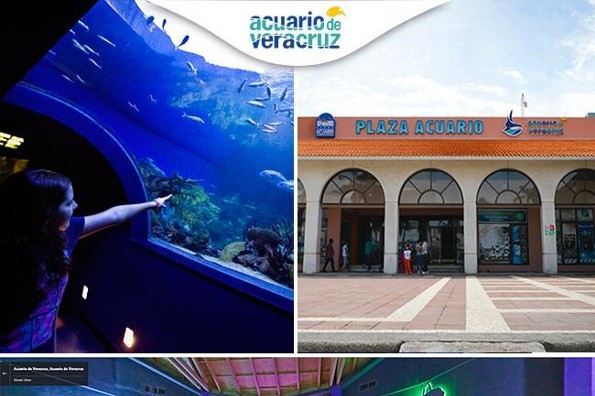 El Acuario de Veracruz ya tiene recorridos a través de Google Street