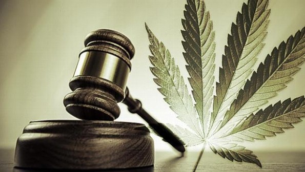¡Sorpresa! ¡Senado aprueba el uso medicinal de la marihuana en México! 