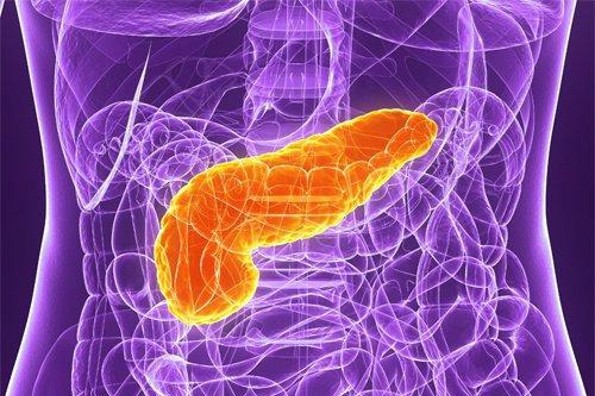 ¡Toma nota! Cosas que haces y dañan tu páncreas... ¡Evítalas!  ¡Toma nota! Cosas que haces y dañan tu páncreas... ¡Evítalas!