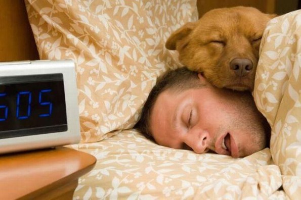 Dormir con tu mascota aporta valores positivos a tu vida (VIDEO)
