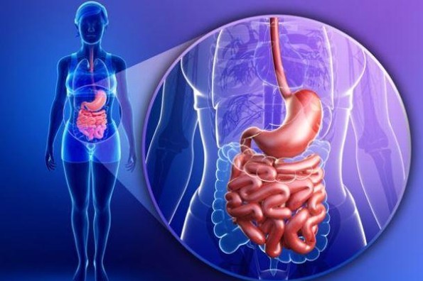 ¡Impresionante! Encuentran 