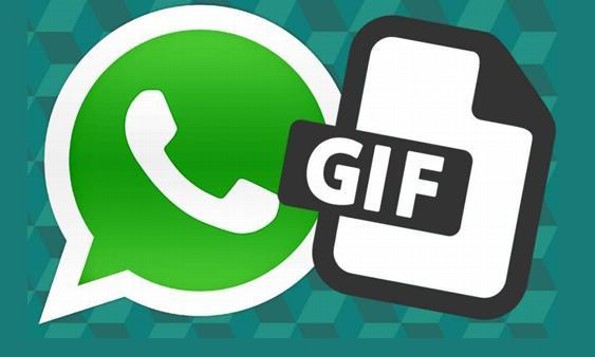Yeah! Envía GIFs por WhatsApp ¡sin salir de la app! (FOTOS)