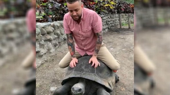 Nacho responde a polémica tras montarse sobre una tortuga gigante (+VIDEOS)