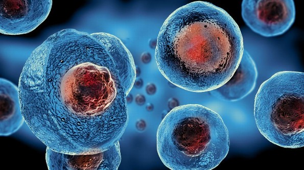 Científicos españoles salvan la vida de seis pacientes logrando eliminar ‘virus del SIDA’ (+VIDEO)