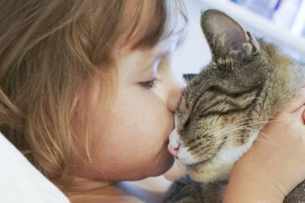 ¡Cuidado! Besar a tu gato podría provocarte cáncer de estómago 