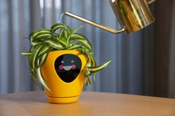 Diseñan maceta que indica las emociones de tu planta #VIDEO