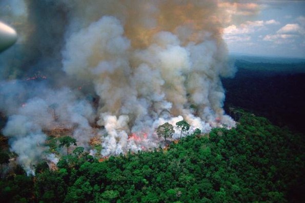¿Qué está pasando con el incendio de el Amazonas?