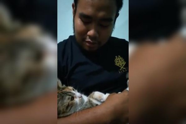 Gata aprende a decir 