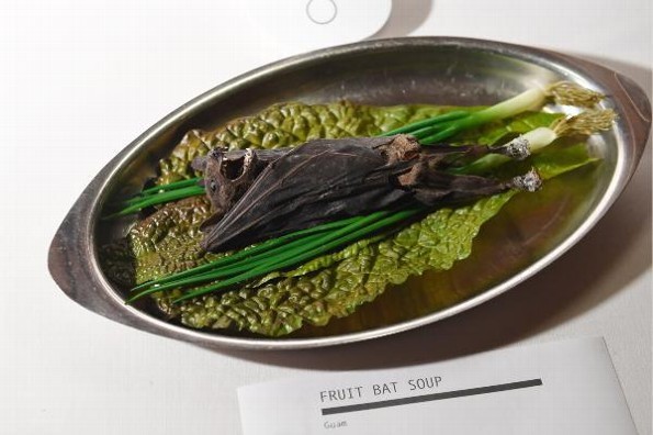 Sopa de murciélago puede estar detrás del 