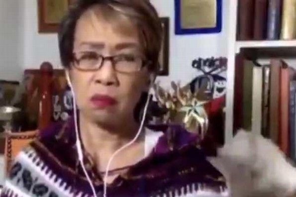 Pleito de gatos atrás de periodista mientras daba las noticas en vivo (+video)