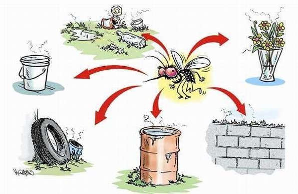 Checa estas recomendaciones para prevenir el dengue