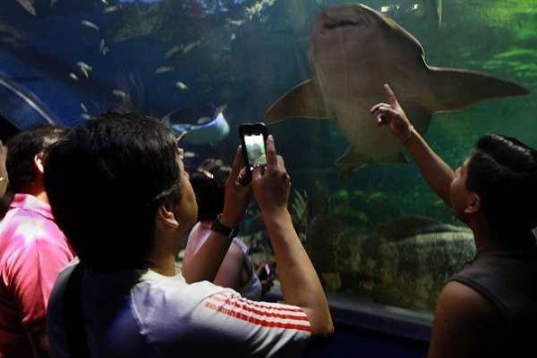 Listo el Acuario de Veracruz para su reapertura