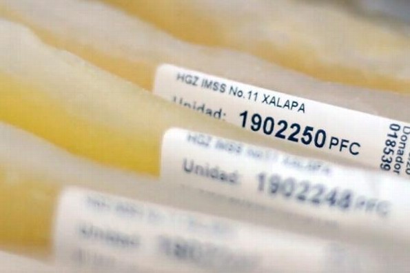 Invita IMSS Veracruz a pacientes recuperados de COVID-19 a donar plasma