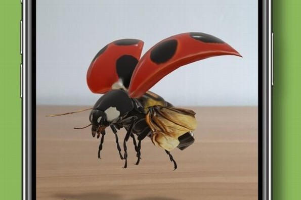 Cómo ver insectos en 3D con Google 