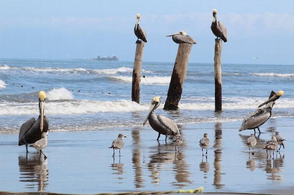 Hoy jueves habrá mucho calor en Veracruz/Boca del Río