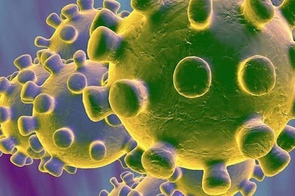 Equipo de científica mexicana descubre cómo bloquear el virus que provoca COVID-19