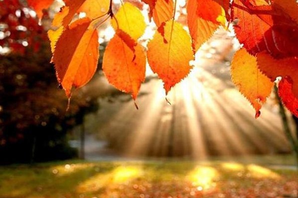 Hoy entra el Otoño; llega a su fin el Verano