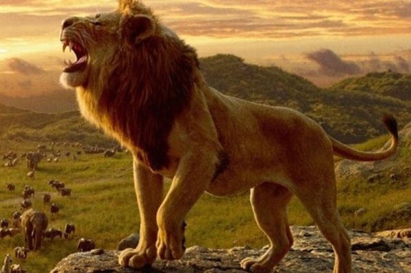 Alista Disney la secuela del live action de  Alista Disney la secuela del live action de