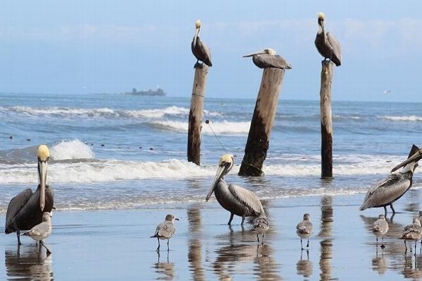 Hoy día cálido, se acercan vientos débiles y probables lluvias Hoy día cálido, se acercan vientos débiles y probables lluvias