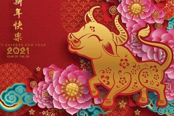 Este es el año del buey.. Este es el significado y lo que debes hacer