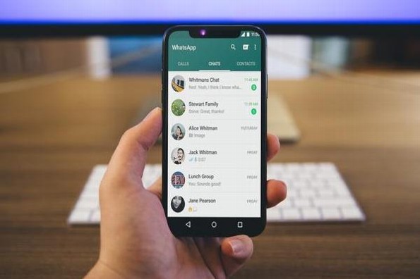 Te decimos cómo pasar stickers y contactos de WhatsApp a Telegram con Android