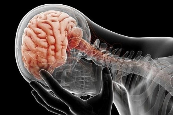 Esquema de vacunación completo puede prevenir encefalitis