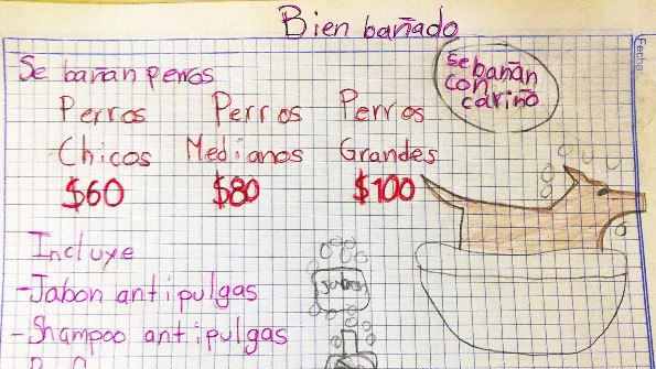 Niño se vuelve viral por bañar perritos, busca ahorrar para ser veterinario 