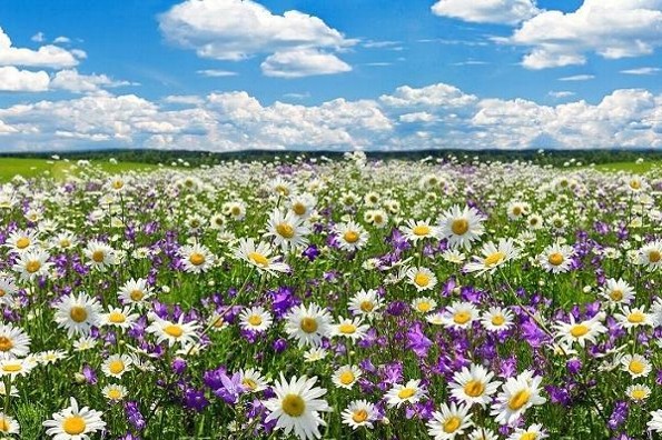 Inicia la Primavera 