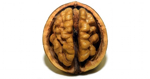 Descubre los beneficios de la nuez