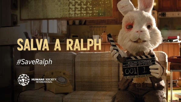 Salven a Ralph; la campaña que busca detener el maltrato de animales en laboratorios