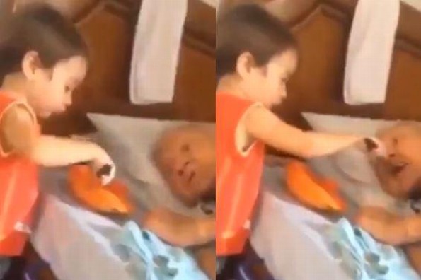 VIRAL: Niño de 6 años enternece las redes al dar de comer a su abuelita en la boca (+video)