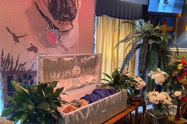 Funeral sin precedente para despedir a su perrito pug (+fotos)