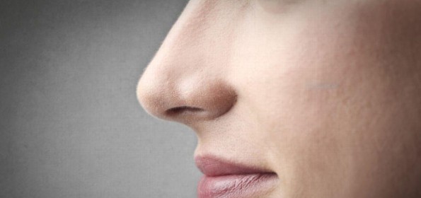 Olores raros que nos gustan, pero nos da pena reconocerlo