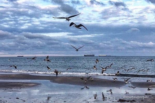 Hoy lunes en Veracruz el índice de calor sería de hasta 40 grados Celsius 