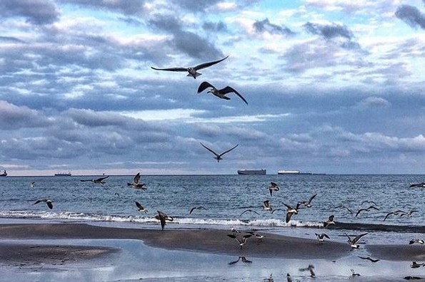 Hoy día fresco en Veracruz; disminuye el potencial de lluvias 