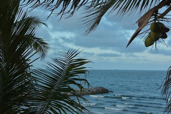 Hoy miércoles ambiente caluroso en Veracruz/Boca del Río Hoy miércoles ambiente caluroso en Veracruz/Boca del Río