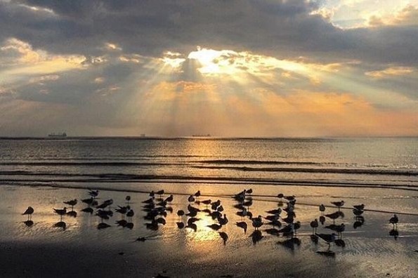 Aumenta probabilidad de lluvias para Veracruz