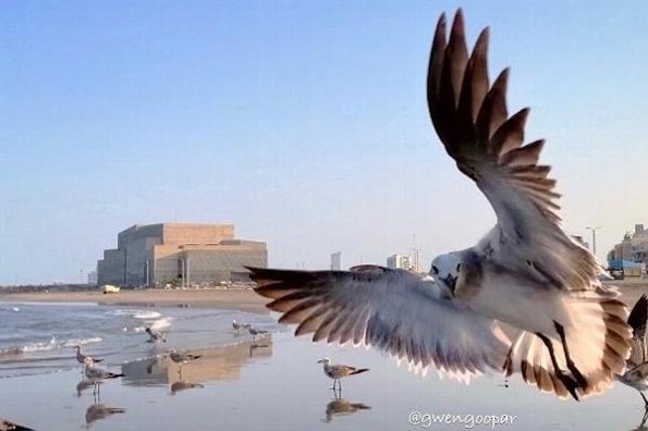 Hoy martes mucho calor en Veracruz; viene un 