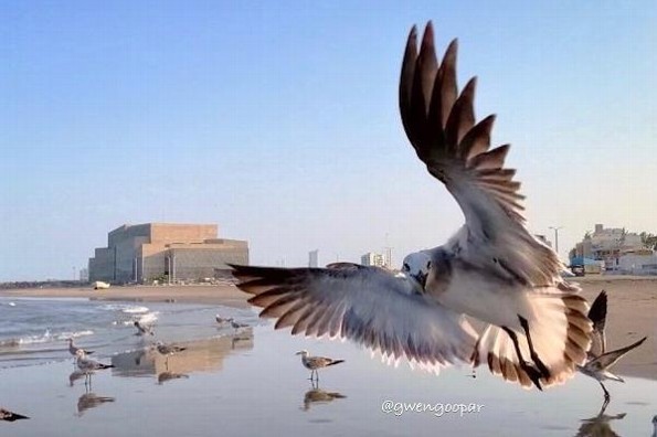 Será un martes con ambiente cálido; el jueves comienza en norte 