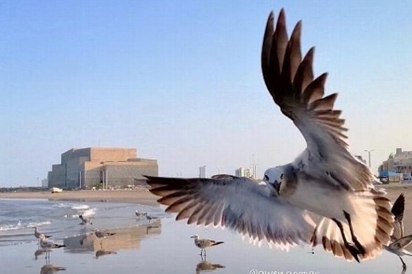 Tendremos días con ambiente agradable, pero viene otro norte para Veracruz 