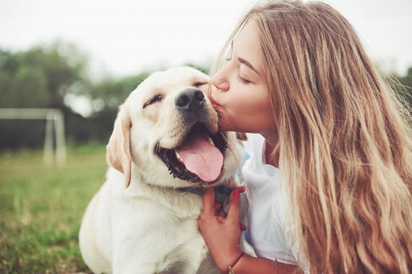 Beneficios de tener un perro en tu vida