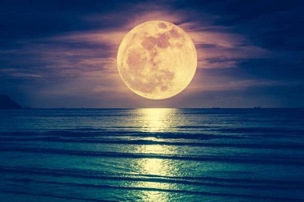 ¿Cómo y cuándo ver la última superluna del año?