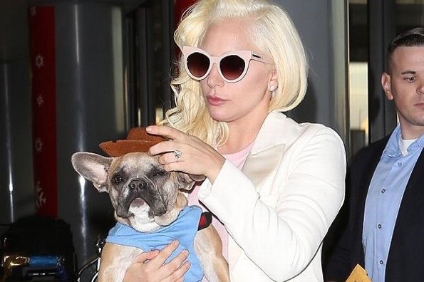 Secuestrador de los perros de Lady Gaga pasará 4 años en la cárcel