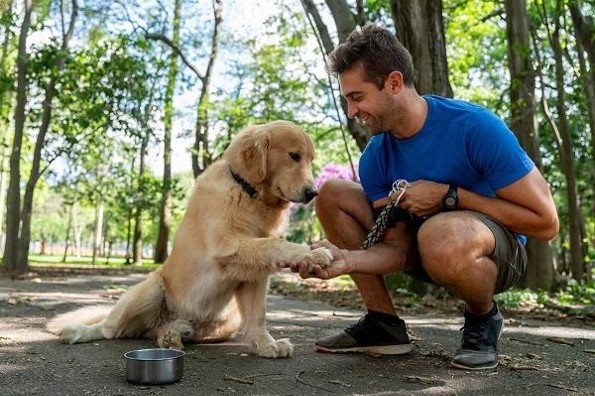 Te decimos qué hacer para que tu mascota haga sus necesidades donde le indiques 